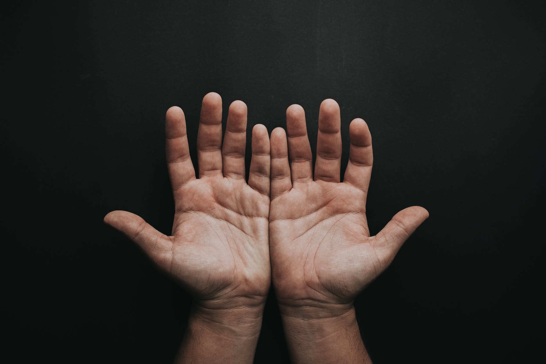 photo of person s open hands